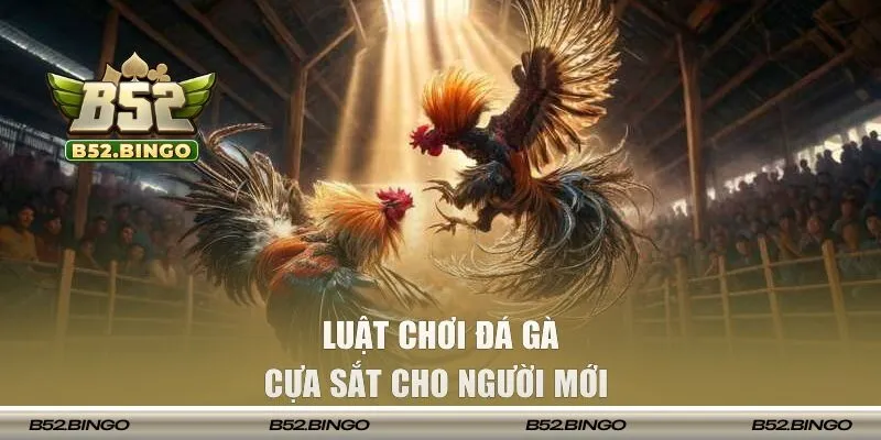 Chia sẻ luật tham gia cho người mới