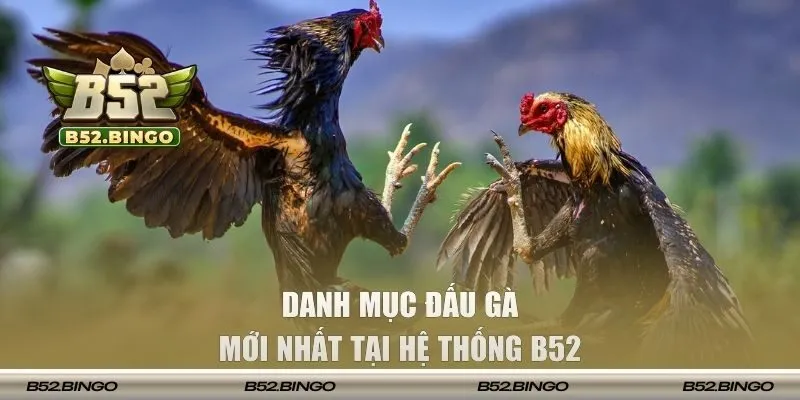 Danh mục đấu gà mới nhất tại hệ thống B52